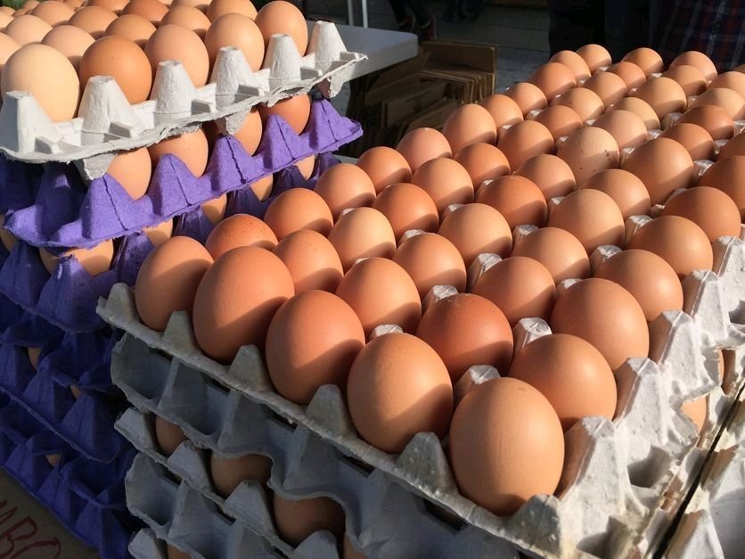 Eggs - Nutrition For All